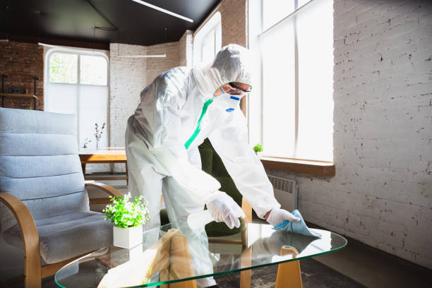 Why You Should Choose Our Mold Remediation Services in Bloomingdale, IL